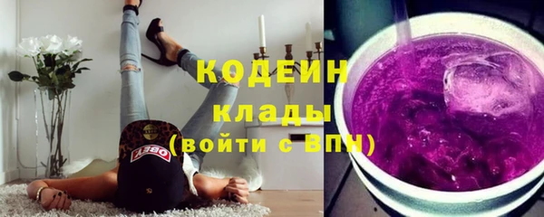 прущие грибы Горнозаводск
