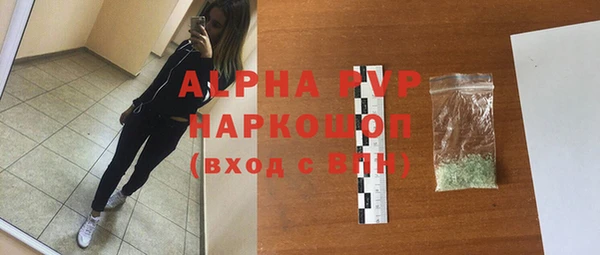 прущие грибы Горнозаводск