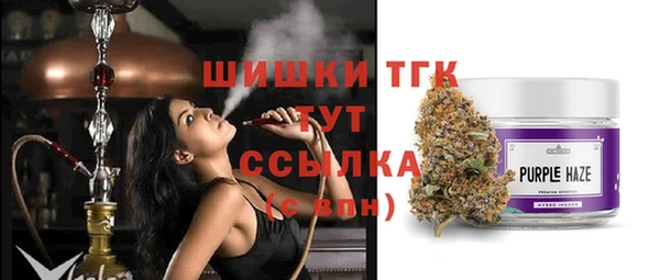 прущие грибы Горнозаводск