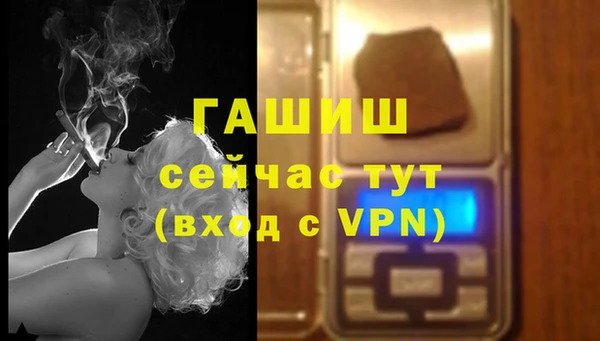 прущие грибы Горнозаводск