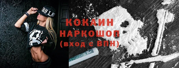 прущие грибы Горнозаводск
