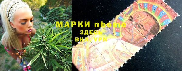 прущие грибы Горнозаводск