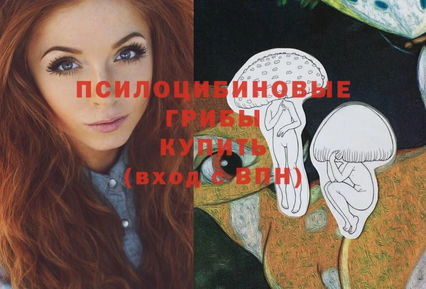 прущие грибы Горнозаводск