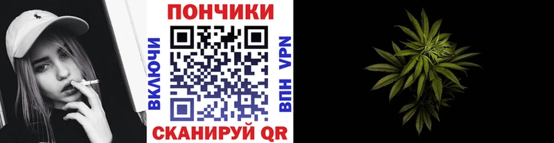 Бошки марихуана гибрид  mega ТОР  Михайлов  купить наркоту 